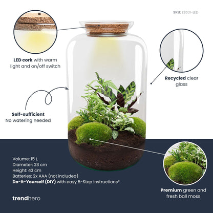 Sven XL Botanical - Terrarium with light - Bottle garden DIY kit - Ø 23 cm ↑ 43 cm