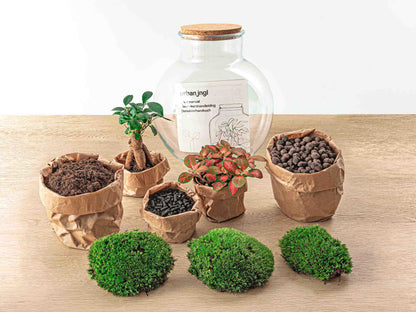 Teddy Bonsai - Terrarium with light - Bottle garden DIY kit - Ø 25 cm ↑ 26,5 cm