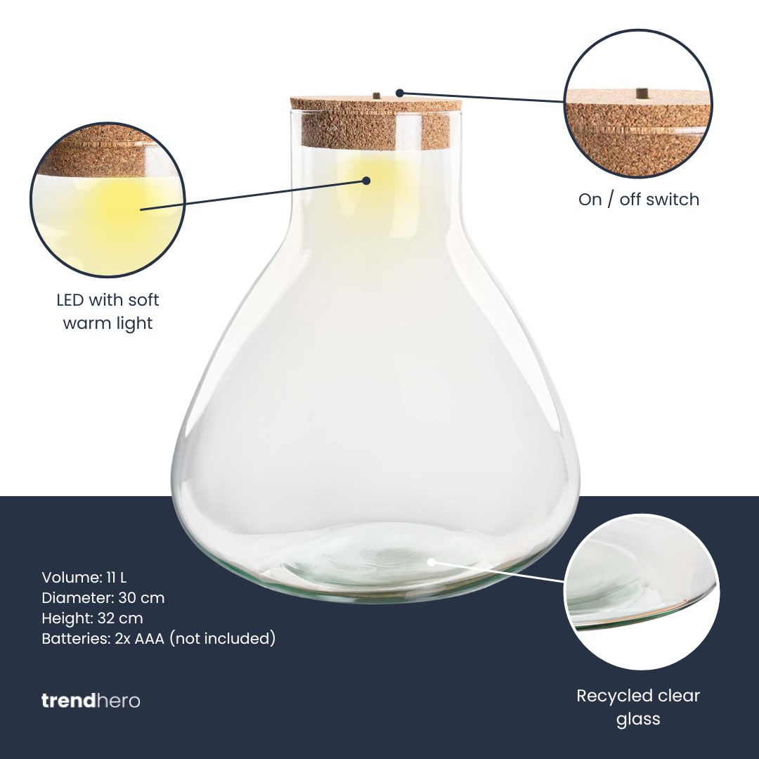 Terrarium bottle 'Sam XL' - Incl. LED cork - Closed terrarium Ø 30 cm ↑ 32 cm