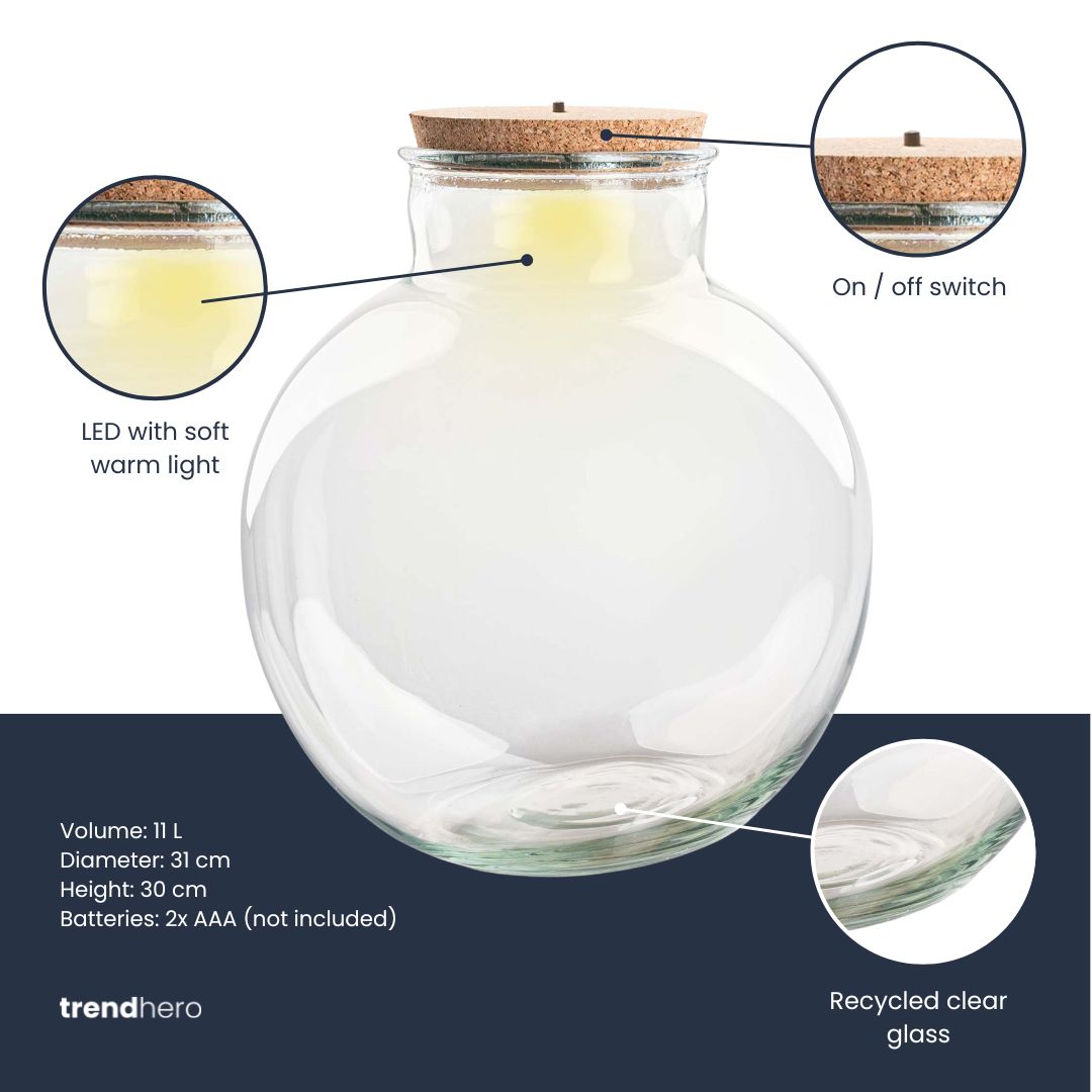 Terrarium bottle 'Teddy' - Incl. LED cork - Closed terrarium Ø 25 cm ↑ 26.5 cm
