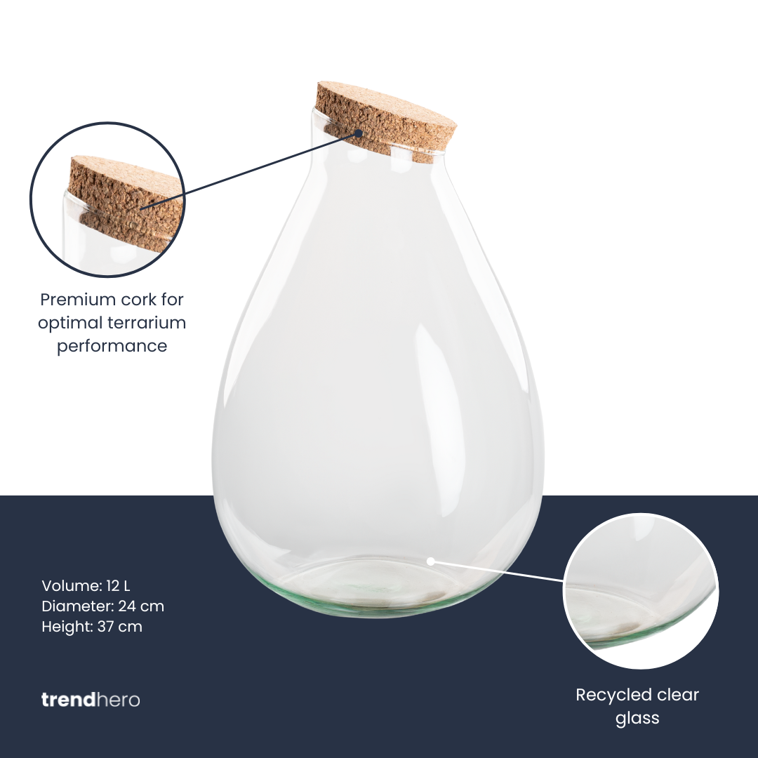 Terrarium bottle 'Drop XL' with cork - Closed terrarium Ø 29 cm ↑ 37 cm