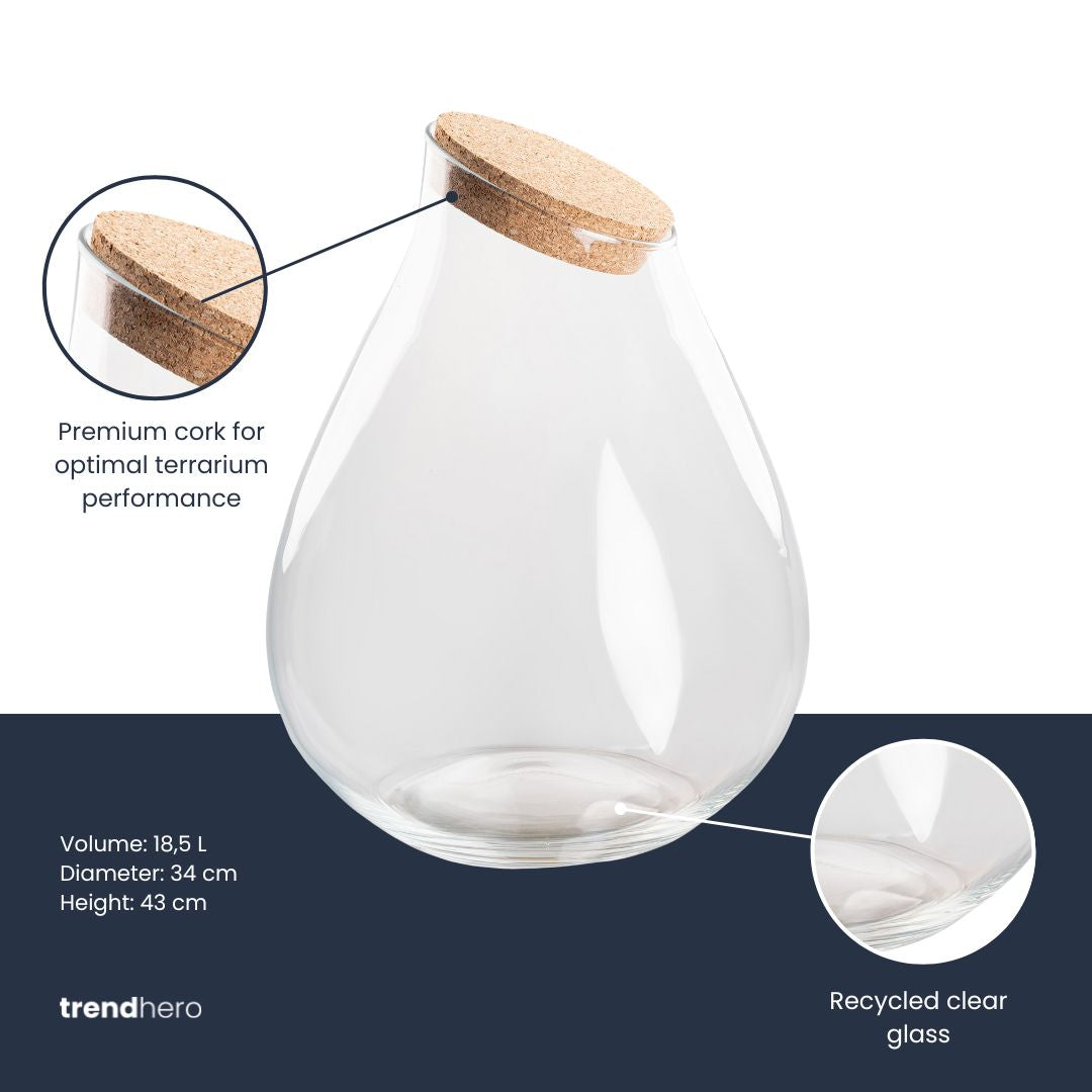 Comnox - Drop XXL Terrarium Fles - Creëer uw eigen mini-ecosysteem - 34 cm