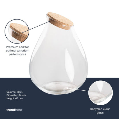 Comnox - Drop XXL Terrarium Fles - Creëer uw eigen mini-ecosysteem - 34 cm