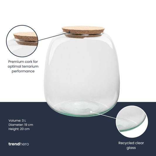 Glasvaat met houten kurkdeksel, transparant en glanzend, geschikt voor koffie, snoep of decoratieve doeleinden. Perfect voor keuken- en woonruimteorganisatie.