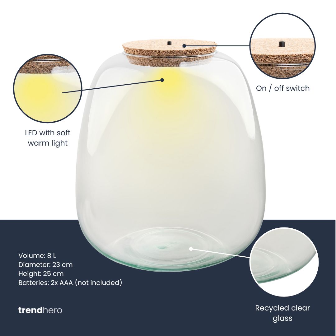 Terrarium bottle ‘Emma' - Incl. LED cork - Closed terrarium Ø 23 cm ↑ 25 cm