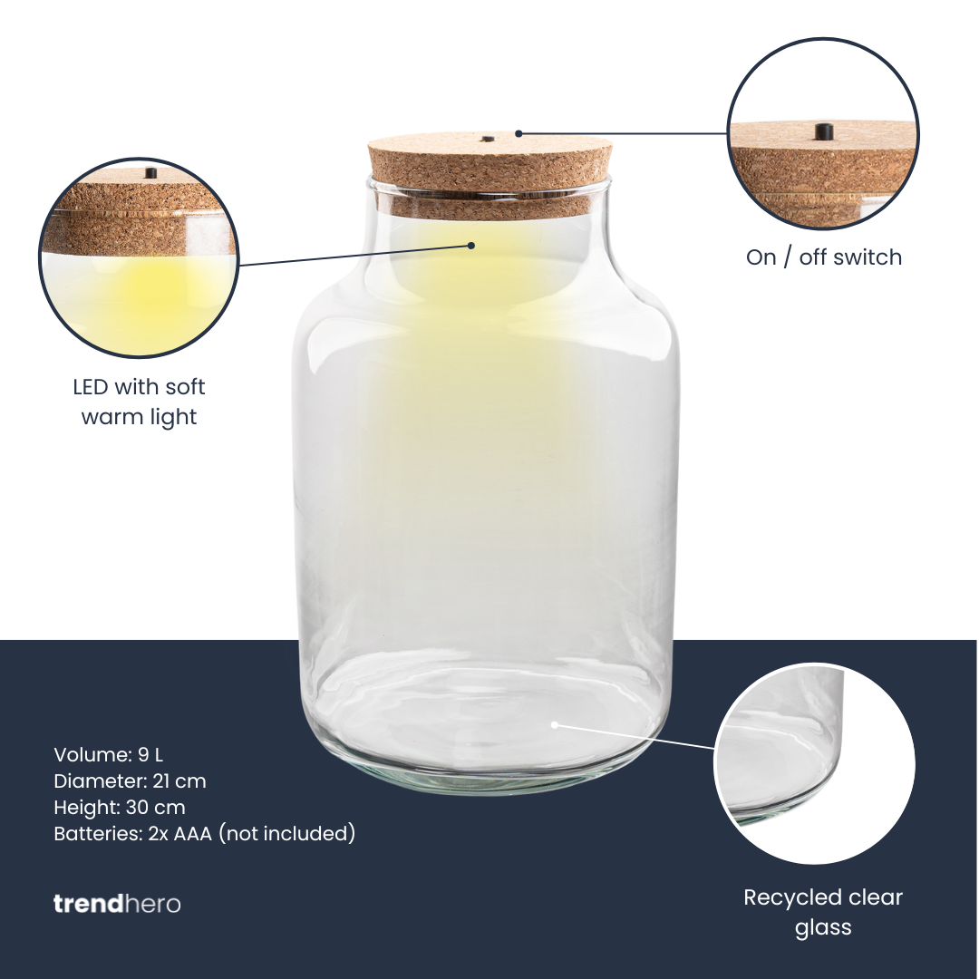 Terrarium bottle 'Milky' with LED-lighting - Closed terrarium Ø 21 cm ↑ 30 cm