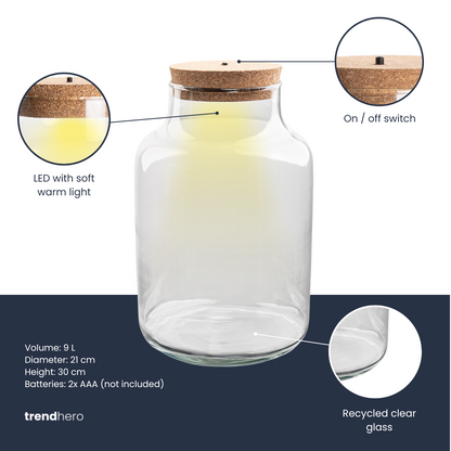 Comnox - Milky - Verlicht mini-ecosysteem - Glas met LED