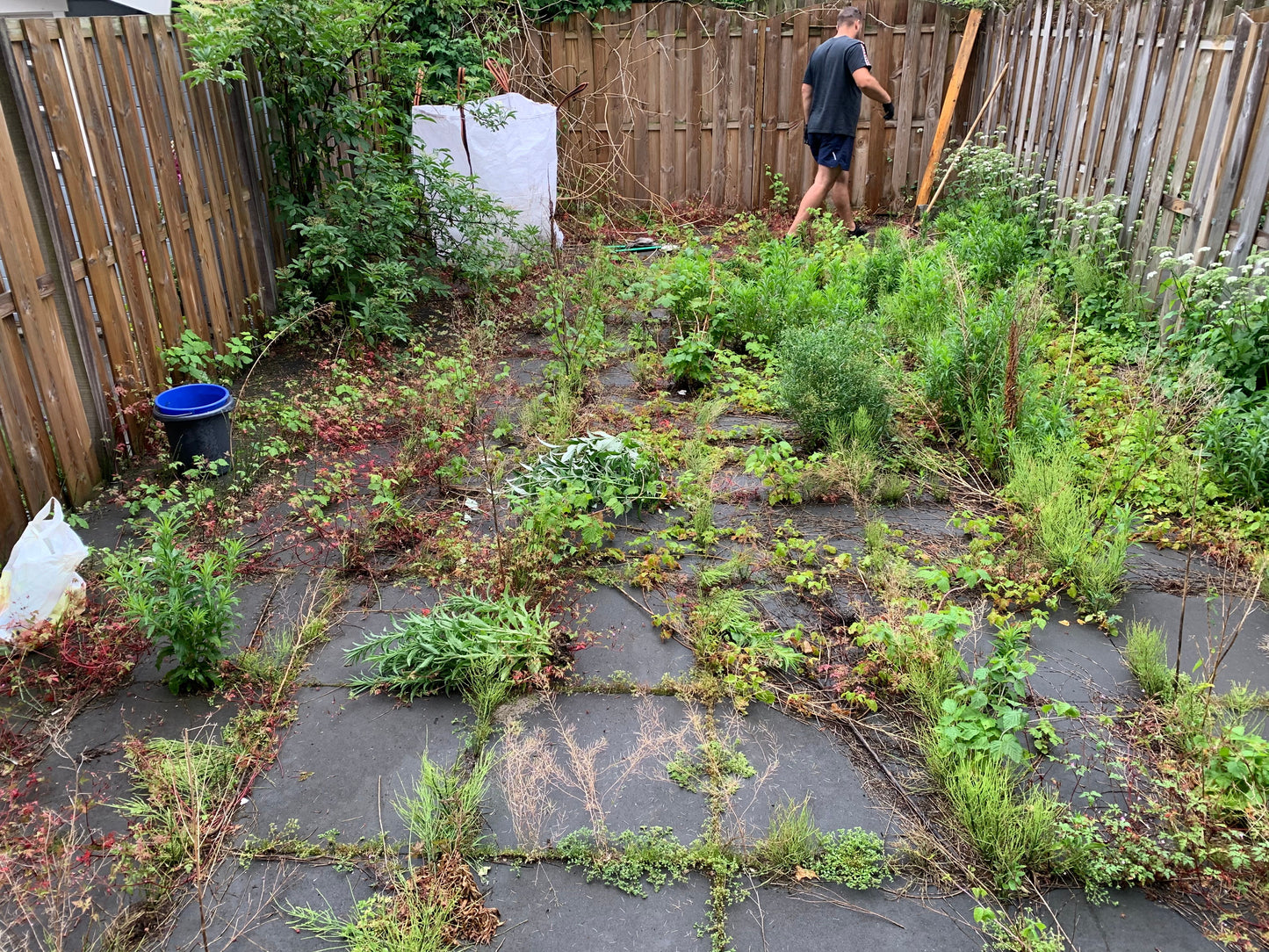 Tuinonderhoud van A tot Z: Aanplanten, Snoeien én Ontruimen