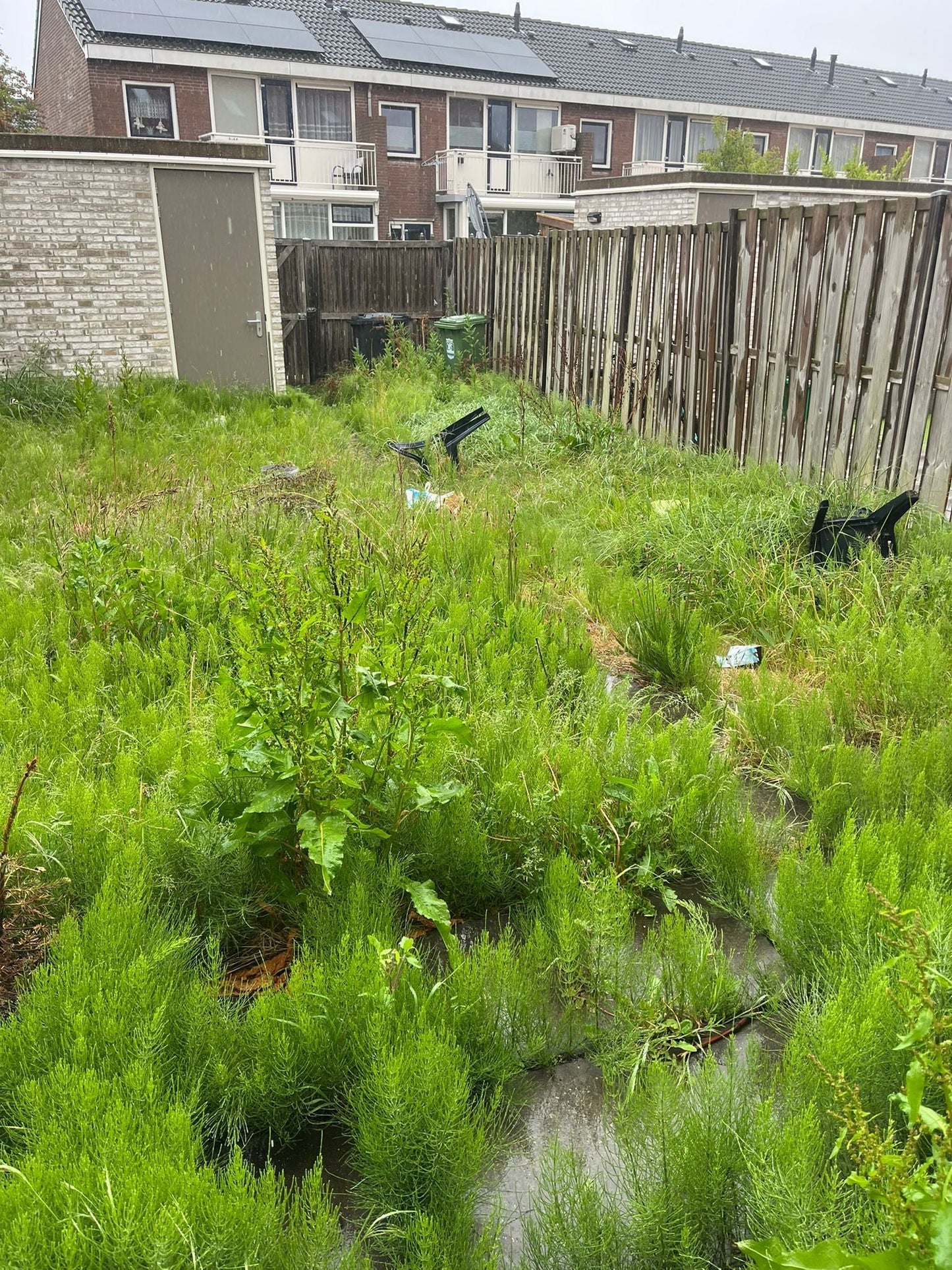 Tuinonderhoud van A tot Z: Aanplanten, Snoeien én Ontruimen