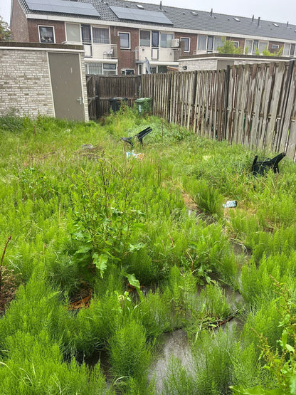 Tuinonderhoud van A tot Z: Aanplanten, Snoeien én Ontruimen