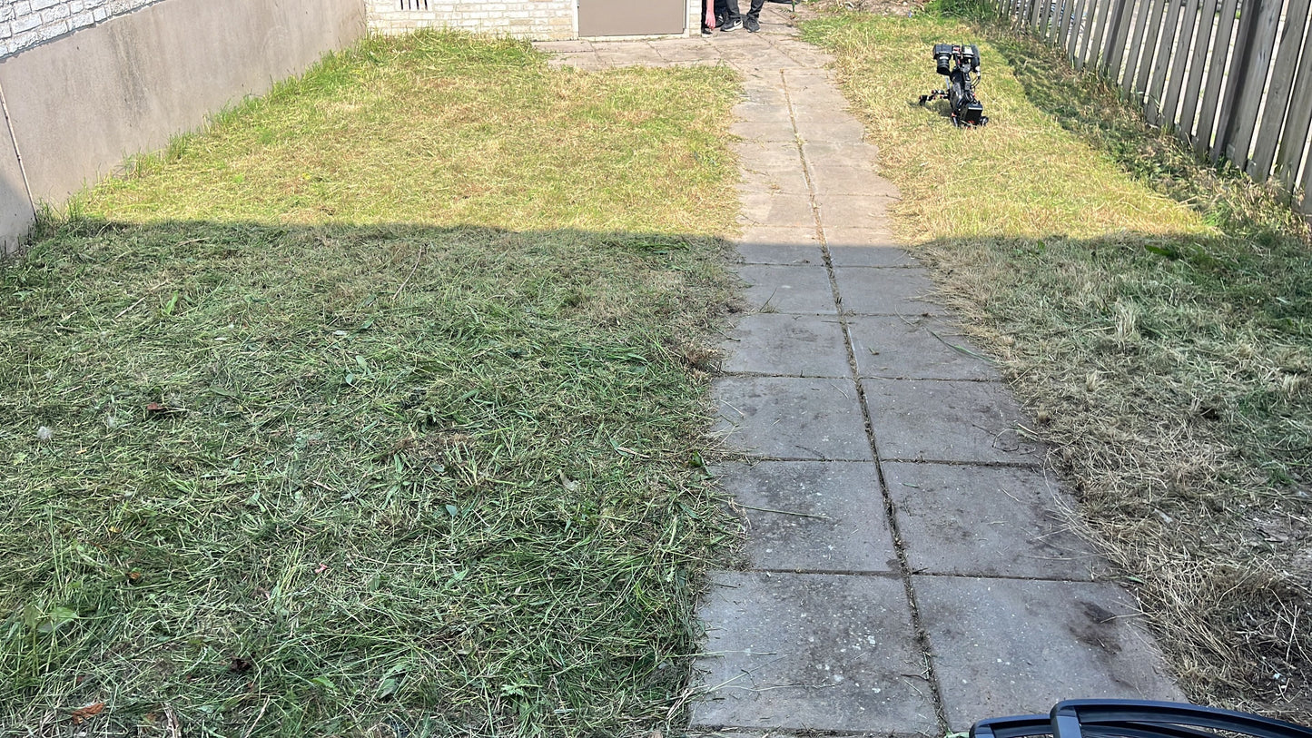 Tuinonderhoud van A tot Z: Aanplanten, Snoeien én Ontruimen