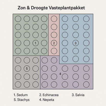 Borderpakket 'Zon & Droogte' - 5m² - 50 planten