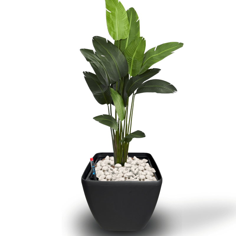 Zwart, vierkant kunststof plantenbak met glad oppervlak en afgeronde hoeken, voorzien van een waterstandsmeter met rode dop, geschikt voor binnen- en buitenruimtes.