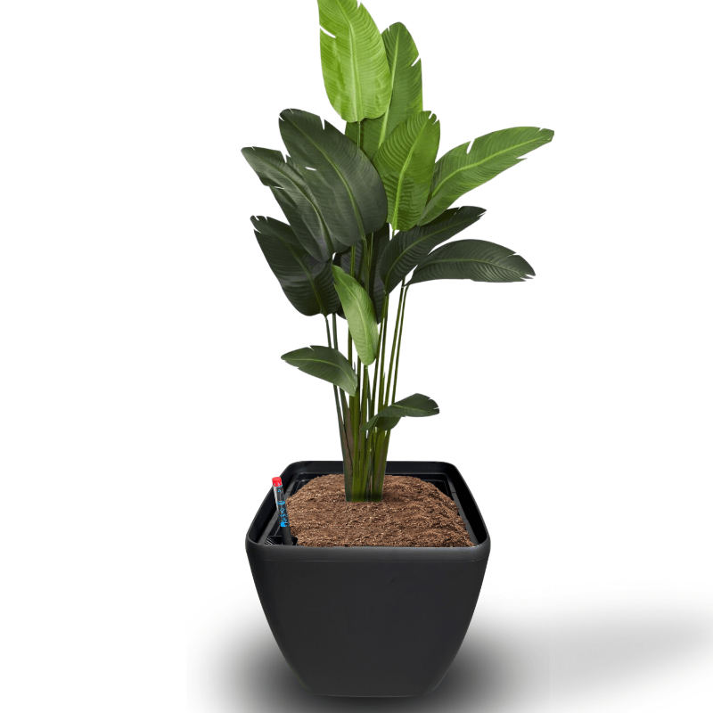 Zwart, vierkant kunststof plantenbak met glad oppervlak en afgeronde hoeken, voorzien van een waterstandsmeter met rode dop, geschikt voor binnen- en buitenruimtes.
