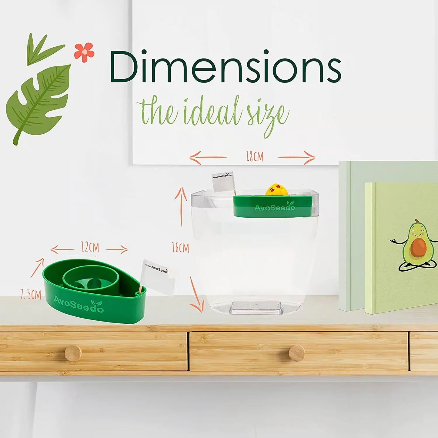 Avocado kit – Grow your own avocado!