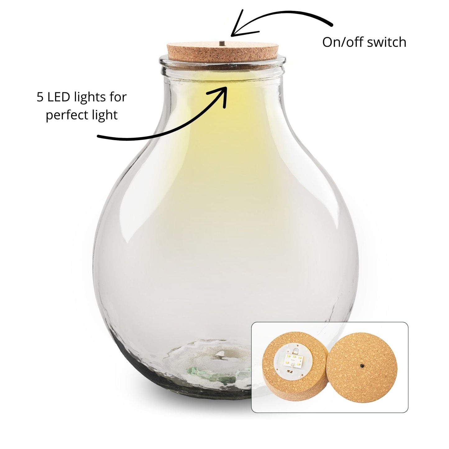 Terrarium bottle - Big Paul with led light - Ø 31 cm ↑ 40 cm