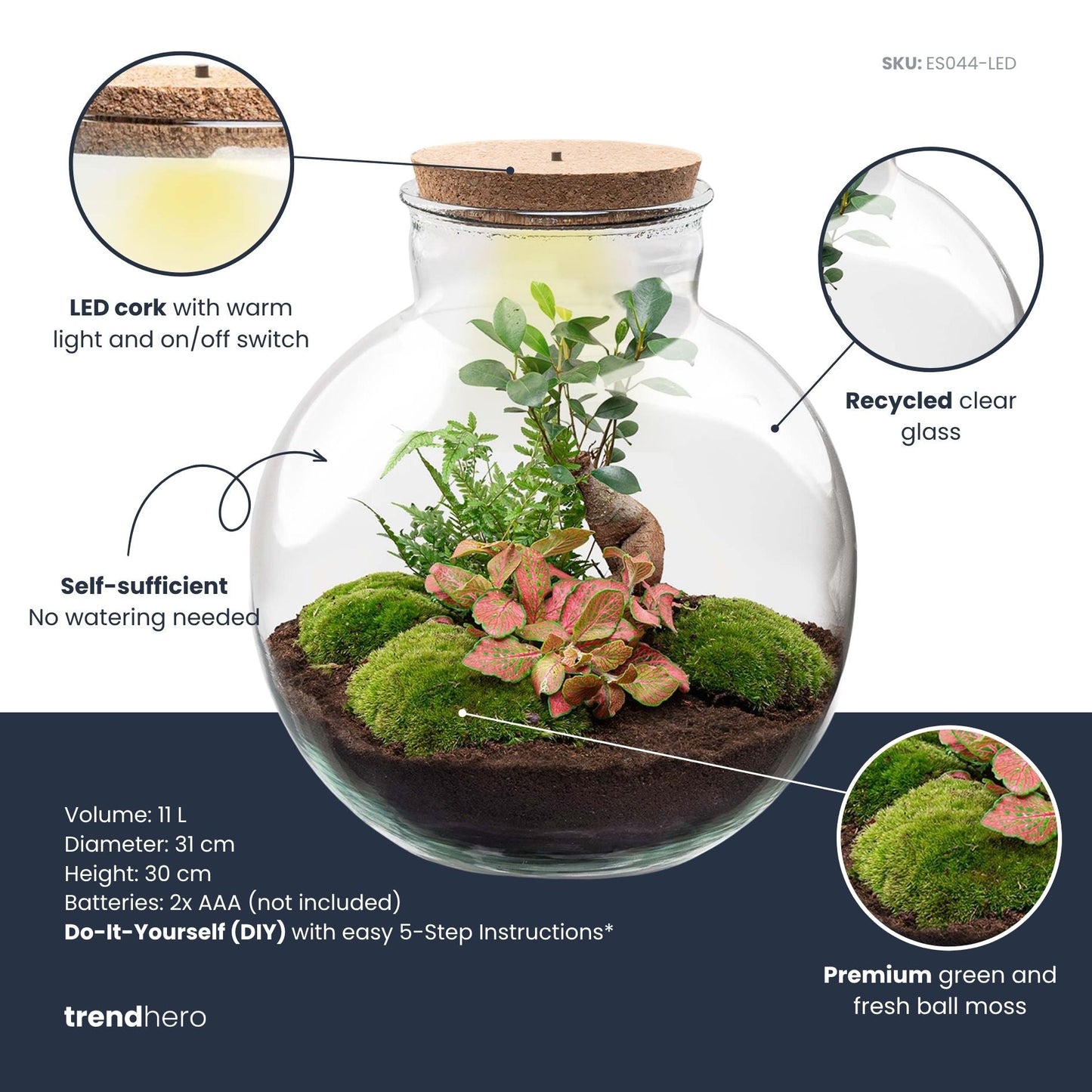 Grote glazen terrarium met korkdop, gevuld met groene mos, roze bladplanten en een kleine boom. Inclusief LED-verlichting voor binnenplanten en decoratieve tuin.