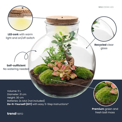 Grote glazen terrarium met korkdop, gevuld met groene mos, roze bladplanten en een kleine boom. Inclusief LED-verlichting voor binnenplanten en decoratieve tuin.