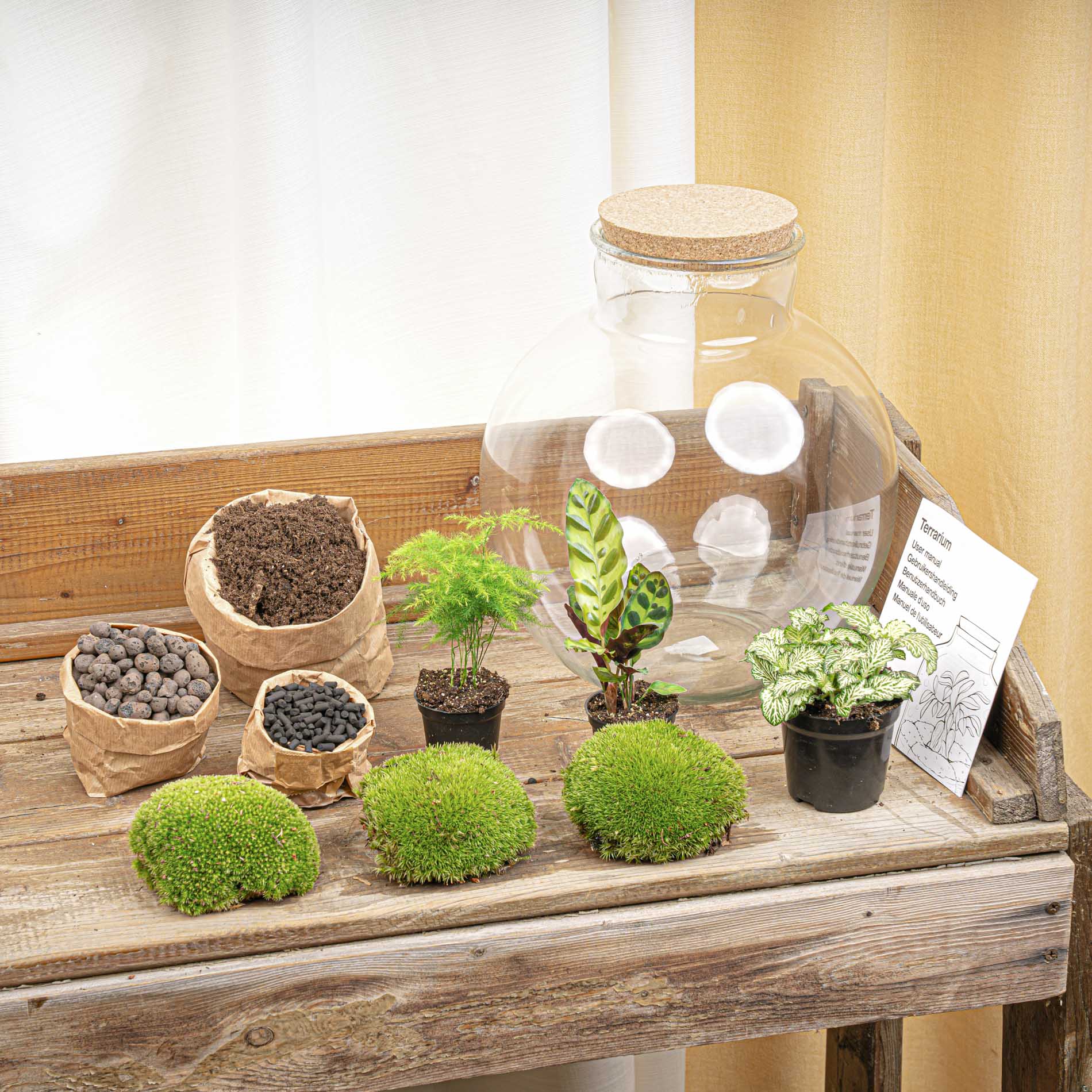 Glas terrarium met korkdop, gevuld met groene mos, varens en bladplanten op donkere grond. Inclusief LED-verlichting voor binnenruimte decoratie.