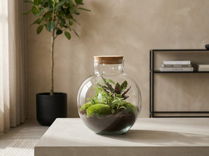 Bolder Bob - Terrarium with light - Bottle garden DIY kit - Ø 31 cm ↑ 30 cm