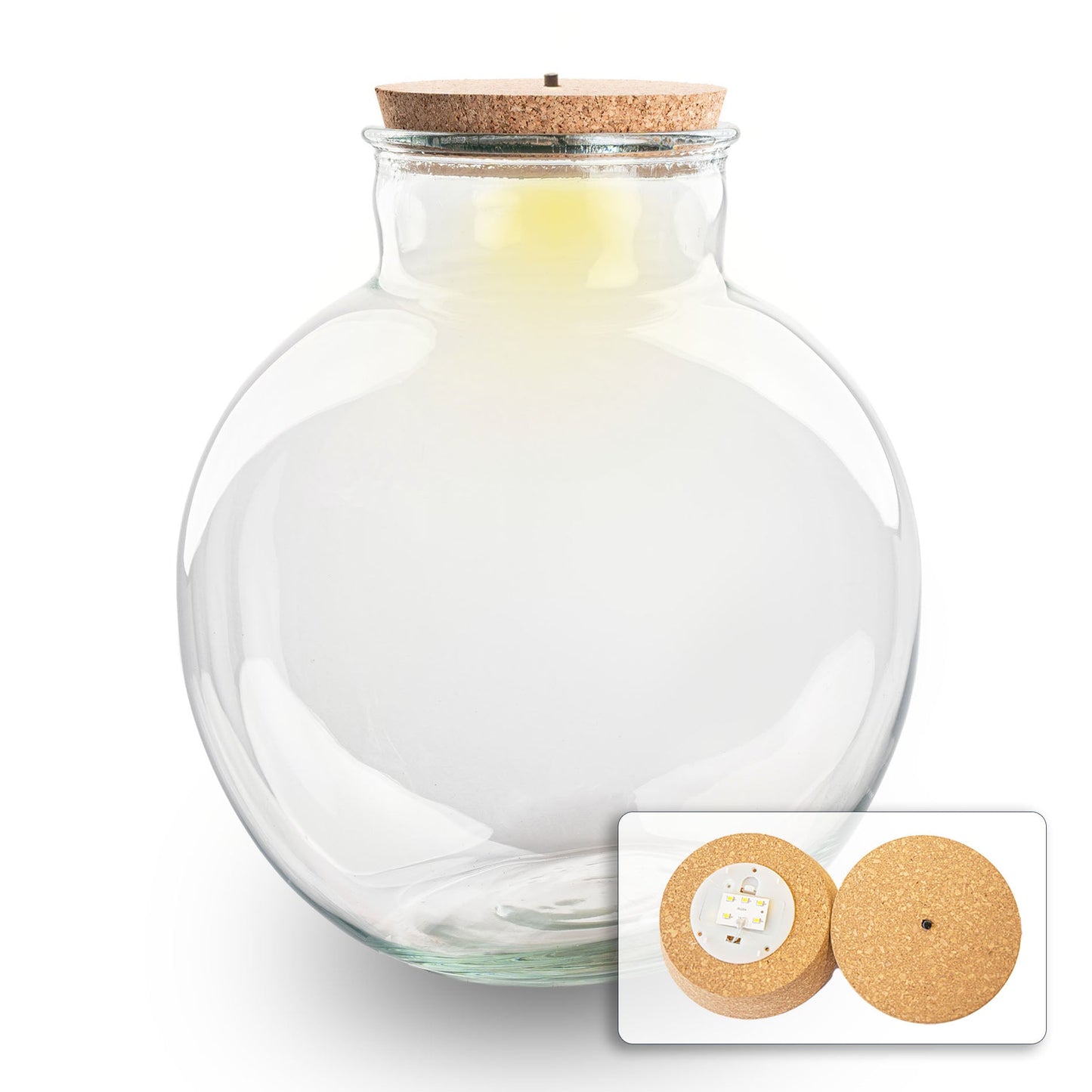Terrarium bottle 'Bolder Bob' - Incl. (LED) cork - Closed terrarium Ø 30 cm ↑ 31 cm