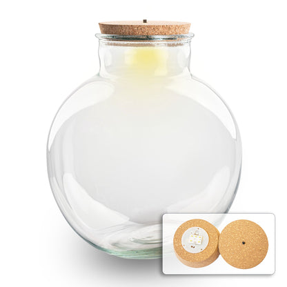 Terrarium bottle 'Bolder Bob' - Incl. (LED) cork - Closed terrarium Ø 30 cm ↑ 31 cm