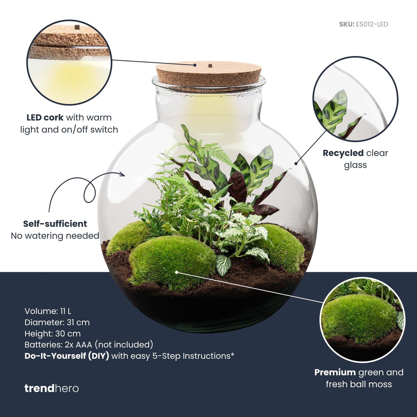 Bolder Bob - Terrarium with light - Bottle garden DIY kit - Ø 31 cm ↑ 30 cm