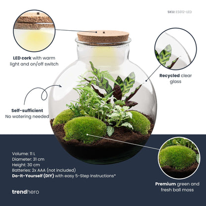 Bolder Bob - Terrarium with light - Bottle garden DIY kit - Ø 31 cm ↑ 30 cm