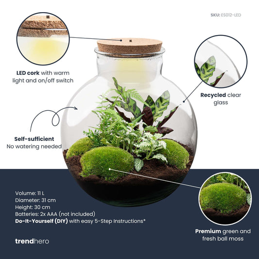 Glas terrarium met korkdop, gevuld met groene moss, diverse bladplanten en donkere grond. Inclusief ingebouwde LED-verlichting voor binnenhuisdecoratie en plantenverzorging.