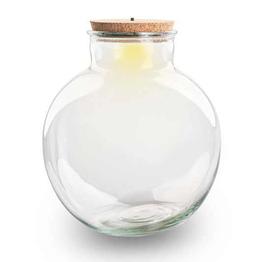 Terrarium bottle 'Bolder Bob' - Incl. (LED) cork - Closed terrarium Ø 30 cm ↑ 31 cm