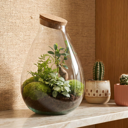 Comnox - Drop XL Green - Zelfbouw Terrarium Kit - Glazen Ecosysteem 24x37 cm