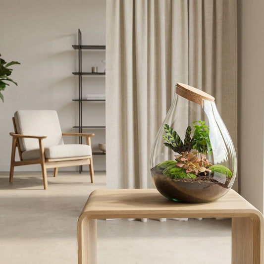 Een glazen terrarium met korkdop, gevuld met groene mossen, succulente planten en donkere grond, staat op een houten tafel in een minimalistisch interieur. Perfect voor binnenlandse decoratie en plantenverzorging.