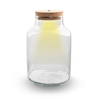 Comnox - Milky - Verlicht mini-ecosysteem - Glas met LED
