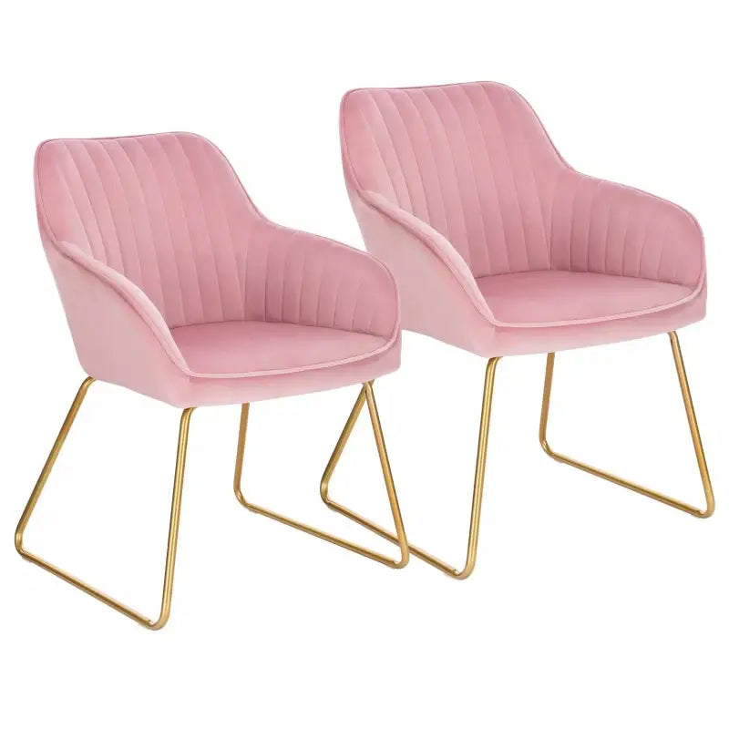 BukkitBow Eetkamerstoelen - Ergonomisch Comfort - Set van 2