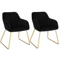 BukkitBow - Set van 2 Fluweel Eetkamerstoelen met Gouden Metalen Poten - Stijlvol en Comfortabel - Zithoogte: 48.5CM