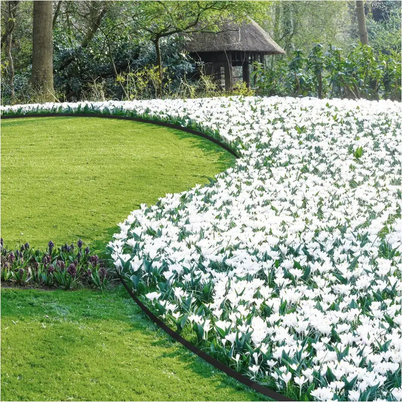 Zwarte tuinbouwring met bijpassende spijkers voor tuininstallaties. Groene, zilveren en zwarte varianten voor diverse decoratieve of functionele toepassingen in de tuin.