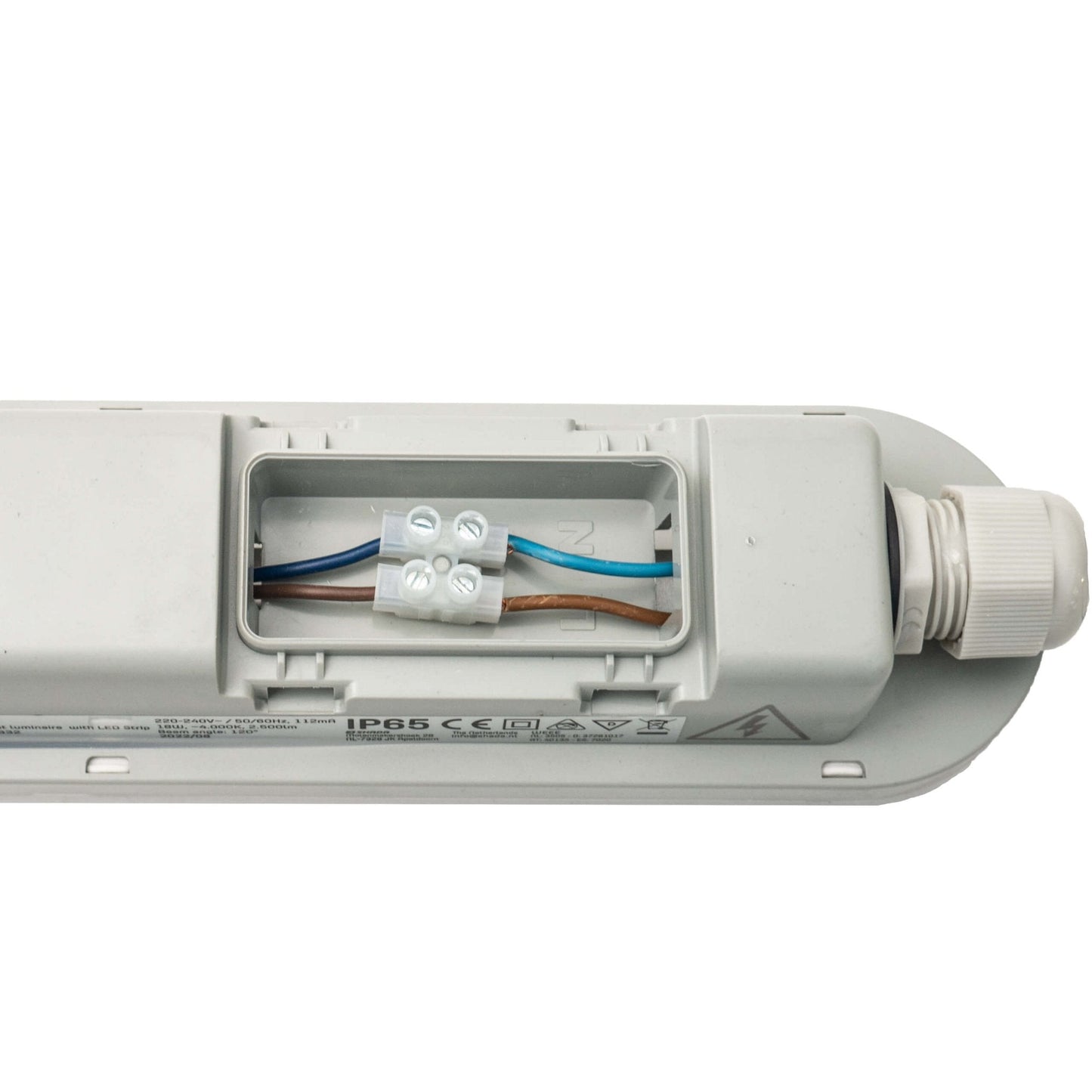 Comnox - LED TL Verlichting 120 cm - Duurzaam & Veelzijdig - IP65 Bescherming - 2500 lm - binnen buiten