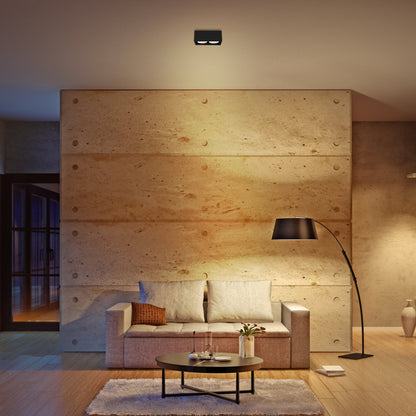 LED's Light Cube LED Plafondlamp - 2 lichtpunten - Draaibaar licht - Staal - 20 x 8 cm - Zwart