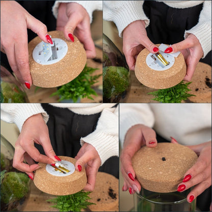 Cork with led - Terrarium cork with light - Customizable -  3 sizes available