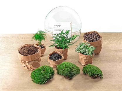 Dome XL - Two-part round glass terrarium - Bottle garden DIY kit - Ø 28 cm ↑ 28 cm