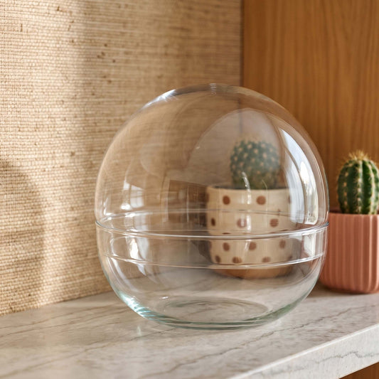 Comnox - Dome XL - Creëer uw eigen mini-ecosysteem - 28 cm Glas