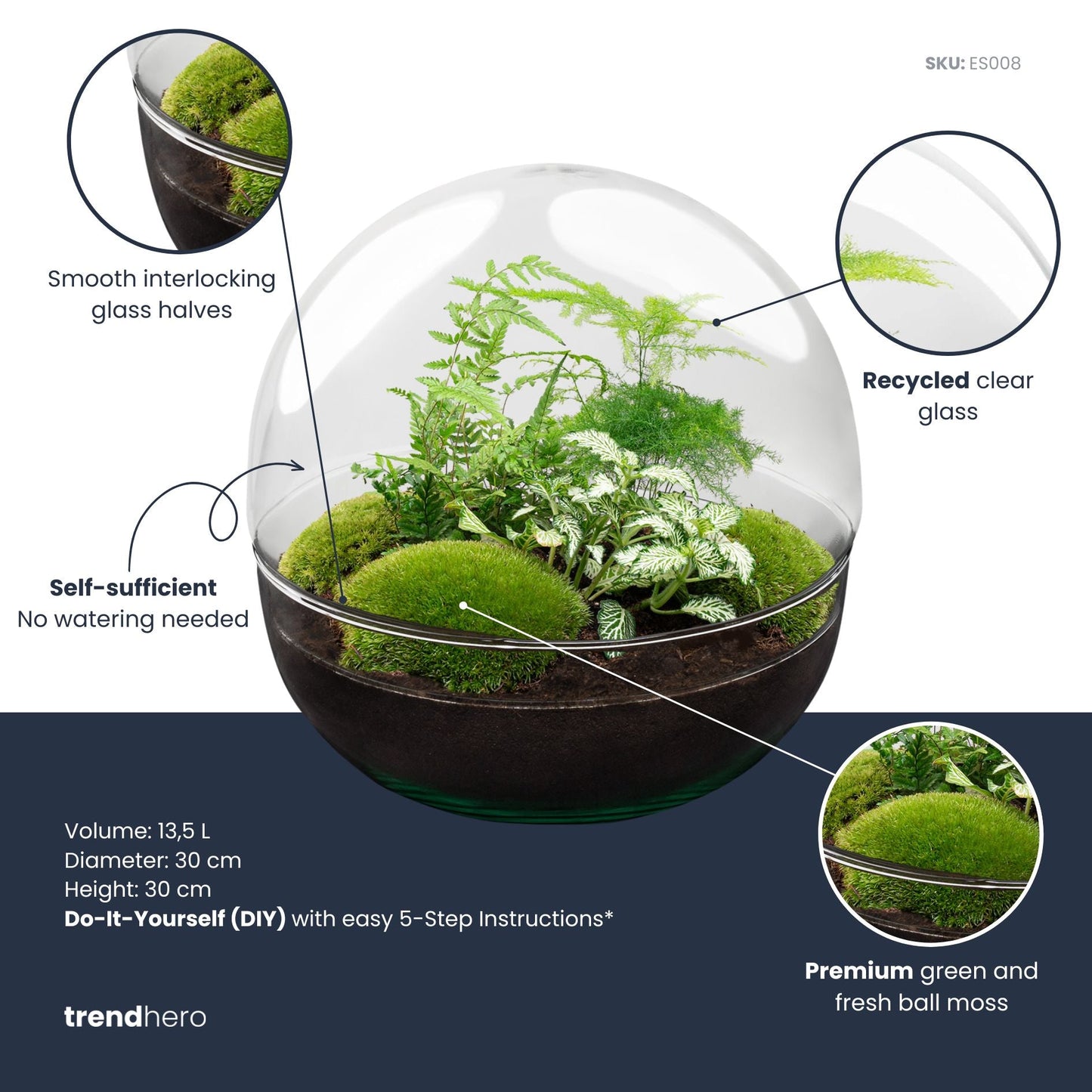 Dome XL - Two-part round glass terrarium - Bottle garden DIY kit - Ø 28 cm ↑ 28 cm