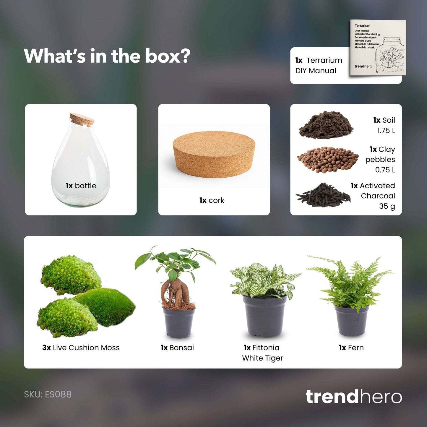 Drop XL Green - Terrarium with cork - Bottle garden DIY kit – Ø 24 cm ↑ 37 cm – Terrarium – Comnox Company