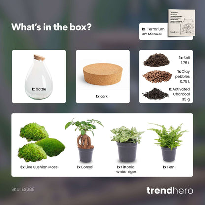 Drop XL Green - Terrarium with cork - Bottle garden DIY kit – Ø 24 cm ↑ 37 cm – Terrarium – Comnox Company