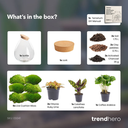 Drop XXL Red - Terrarium with cork - Bottle garden DIY kit - Ø 34 cm ↑ 43 cm