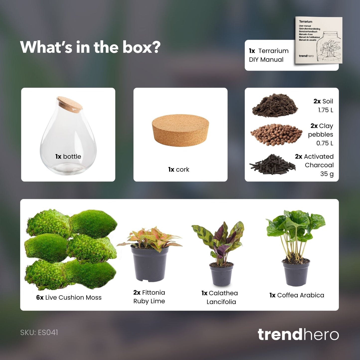 Comnox - Drop XXL Red - Zelfbouw Terrarium Kit - Inclusief Planten en Grond