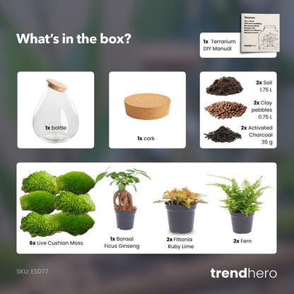 Comnox - Drop XXL Bonsai - Zelfbouw Terrarium Kit - Glazen Ecosysteem