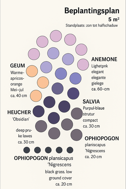 Borderpakket – Jaarrond kleur & bloei – Warm & contrastrijk - 5 m² - 50m