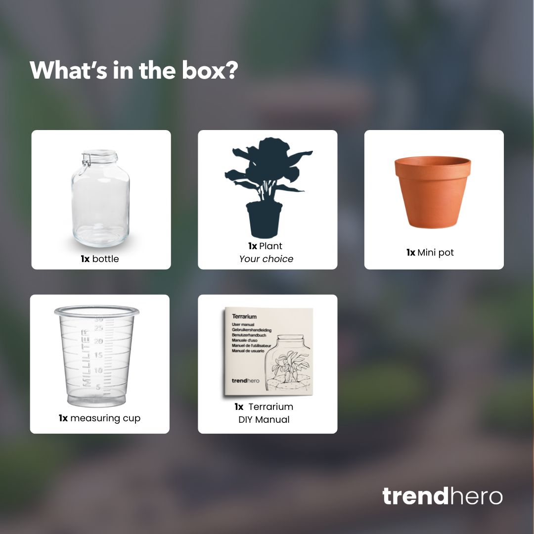 Easyplant - Fido terrarium jar - Bottle Garden DIY kit - Ø 18 cm ↑ 28 cm