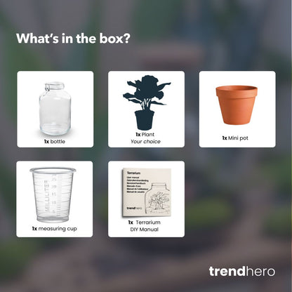 Easyplant - Fido terrarium jar - Bottle Garden DIY kit - Ø 18 cm ↑ 28 cm